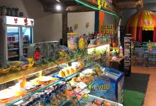 Tikipark景点图片