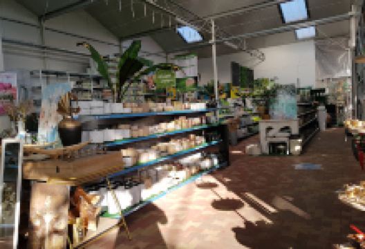 Oázis Kertészet购物图片