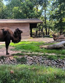 Chemnitz Zoo-开姆尼茨
