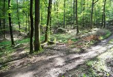 Brunnenweg Pfaffenhofen景点图片