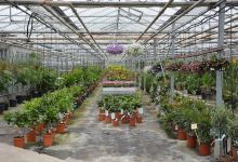 Orangerie Jaeken购物图片