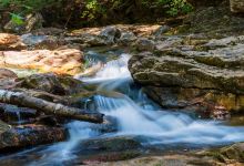 Moosalamoo Campground景点图片