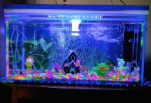 Fishtrack购物图片