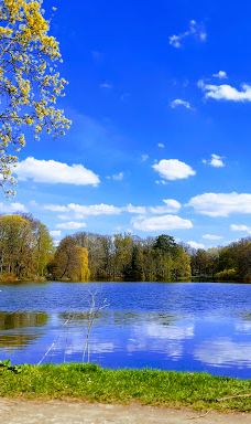 Stadt Park-开姆尼茨