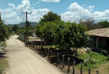 Santa Cruz Cedros F.M景点图片