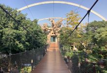 The Grand Aviary景点图片