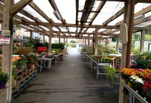Magasin Vert St Hilaire购物图片
