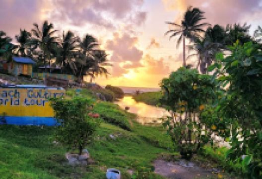 Silver Sands Beach景点图片