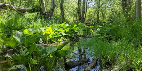 Trustom Pond National Wildlife Refuge