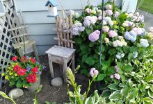 Rotary Park景点图片