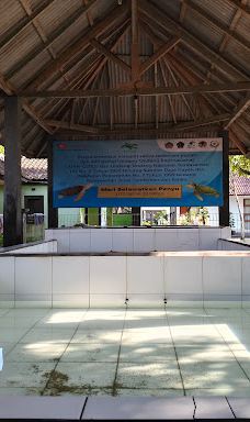 Kurma Asih Sea Turtle Conservation Center-巴厘岛