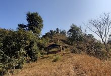 Durbar--(दरबार),अलैंचे景点图片
