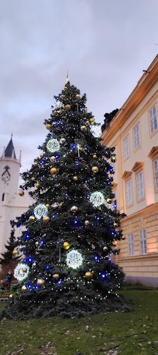 Regionalni Muzeum V Teplicich-特普利采