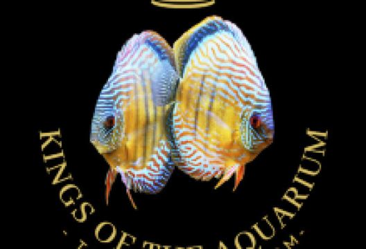 Kings Of The Aquarium购物图片