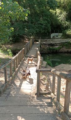 El Pinar del Rey-圣罗克