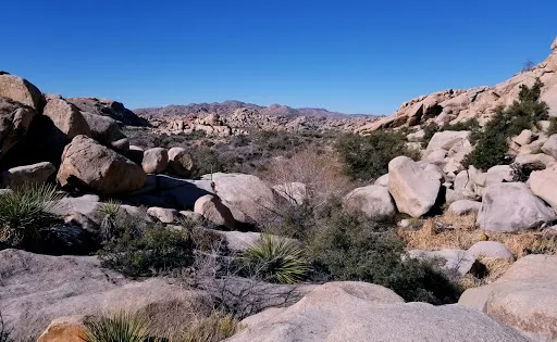 Salida Gulch Trail #95