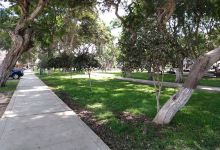 Parque Jardines Del Golf景点图片