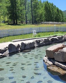 Tsenkher Jiguur-Tsenkher