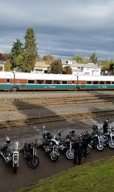 Swanson Park-奥尔巴尼