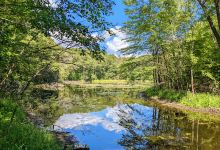 Chippewa Moraine State Recreation Area景点图片