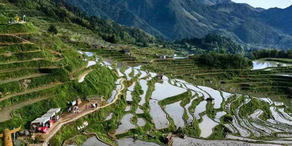 永安旅遊