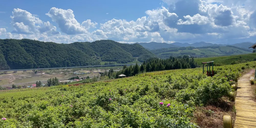 永安旅遊