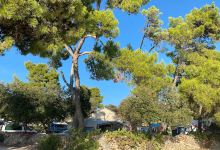 Autocamp Pineta景点图片