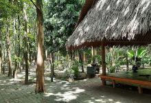 Jogging Track Krakatau Junction景点图片