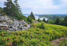 Bay Roberts East Shoreline Heritage Walk景点图片