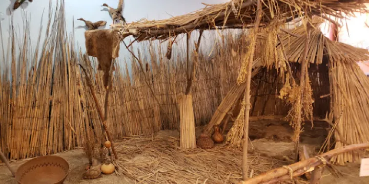 Buena Vista Museum of Natural History