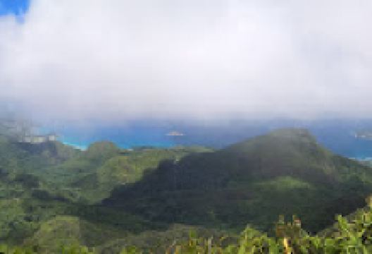 Nilee's experience景点图片