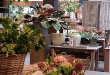 Tuincentrum Firma H.L. Nijhof & Zn.购物图片