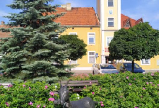 Pomnik DOLSK景点图片