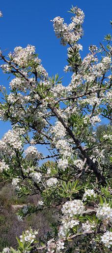 Poros Beach-Kiani Akti