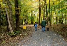Palatine Park景点图片