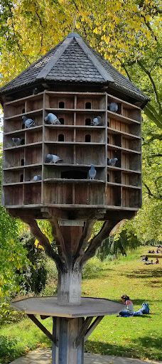 Neckarinsel-蒂宾根