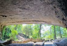Cathedral Caverns State Park景点图片