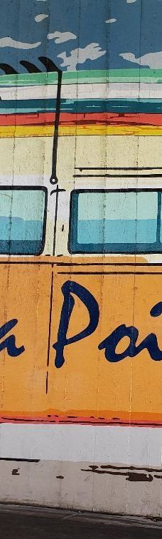 Salt Creek Beach-达纳点