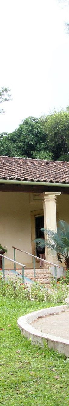 Botanical Garden of Asunción-亚松森