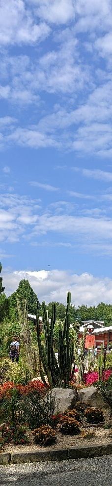 迈瑙岛-康斯坦茨