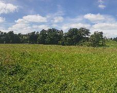 Bolton Priory-斯基普顿