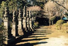 Ryukakuji Temple景点图片