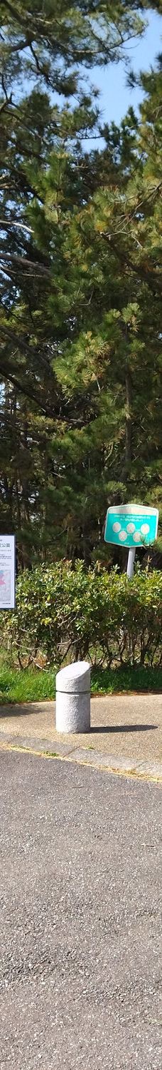 尼御前岬-加贺市