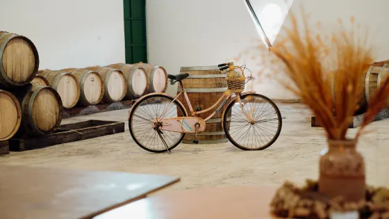 Fikardos Winery