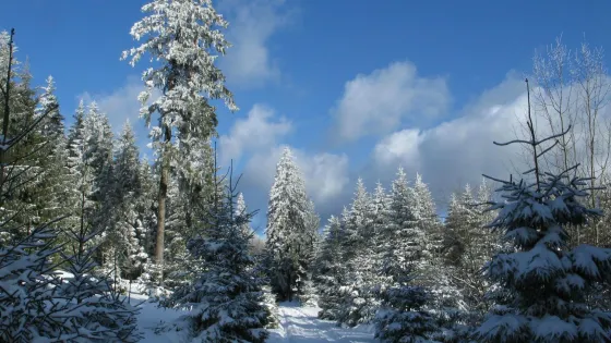 Naturpark Hochtaunus
