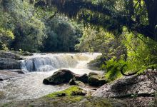 Parque Estadual da Serra do Mar景点图片