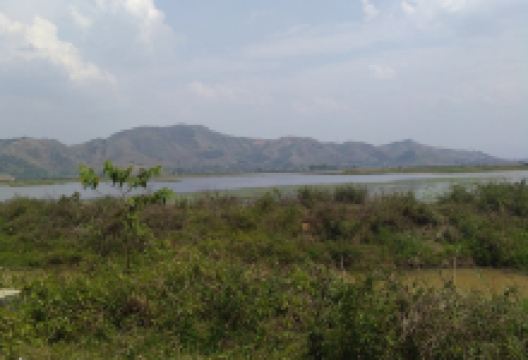 Waithou Lake景点图片