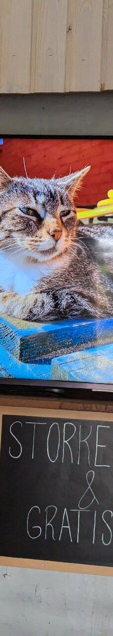 Vingaarden, Lille Gadegaard ( Vineyard )-阿克尔科拜