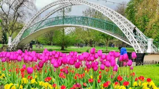 Embankment Bridge