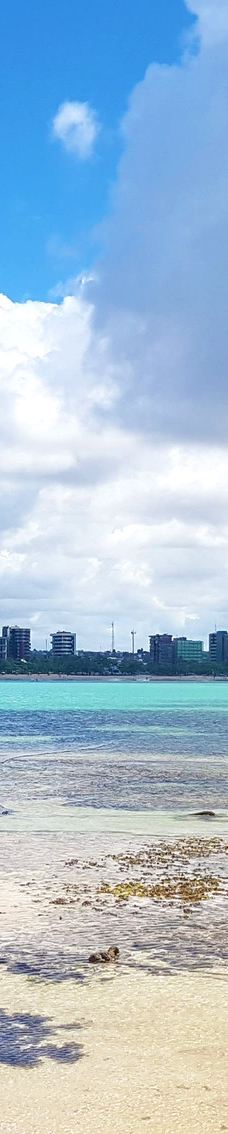 Piscinas Naturais de Pajucara-马塞约